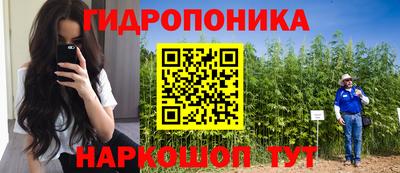 стаф Гагарин