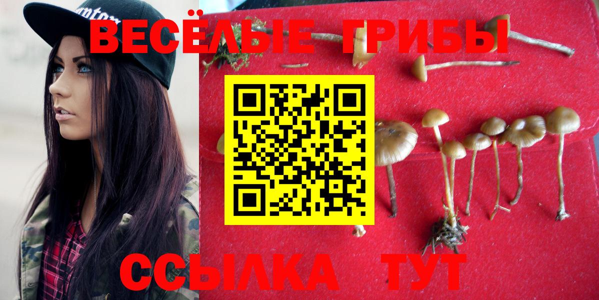 Жигулёвск  Галлюциногенные грибы мухоморы  Вход с VPN 