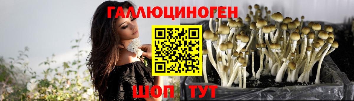Галлюциногенные грибы Magic Shrooms Жигулёвск